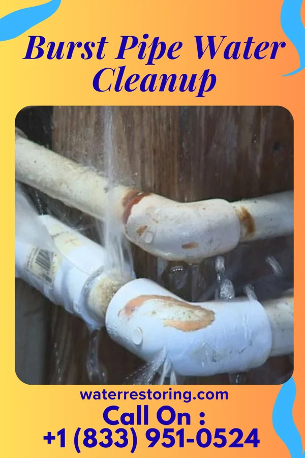 Burst Pipe Water Cleanup in Saegertown, PA