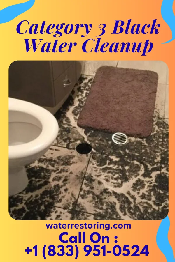 Category 3 Black Water Cleanup in Saegertown, PA