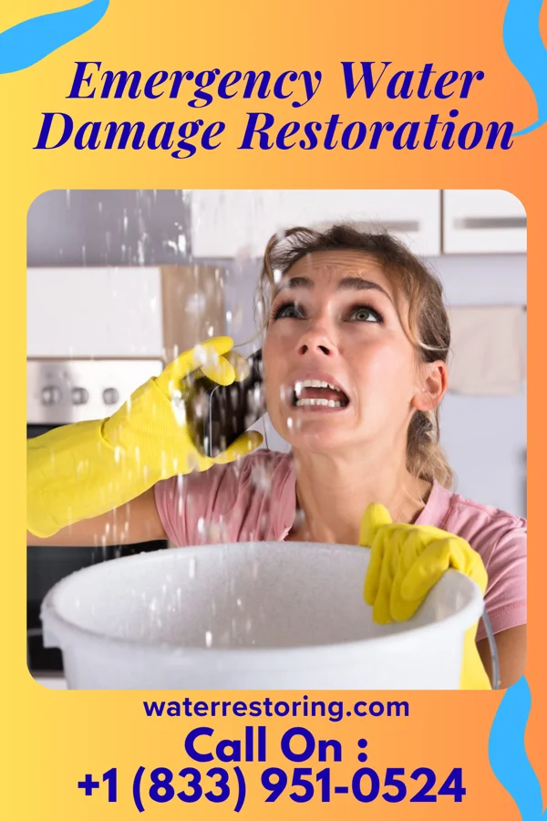 Emergency Water Damage Restoration in Saegertown, PA