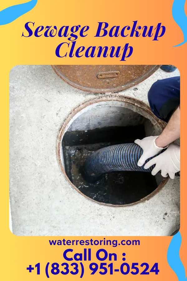 Sewage Backup Cleanup in Saegertown, PA