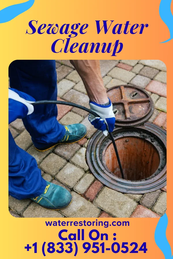 Sewage Water Cleanup in Saegertown, PA