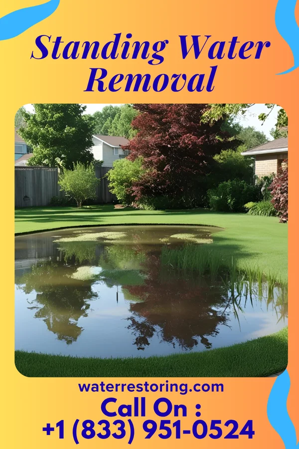 Standing Water Removal in Saegertown, PA
